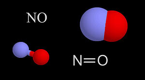 Imaginea prezintă molecula de oxid nitric (NO) cu atomul de azot în albastru și atomul de oxigen în roșu.